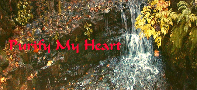 Purify My Heart